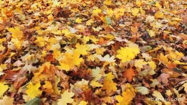 秋天的叶子从上面互相落在地上